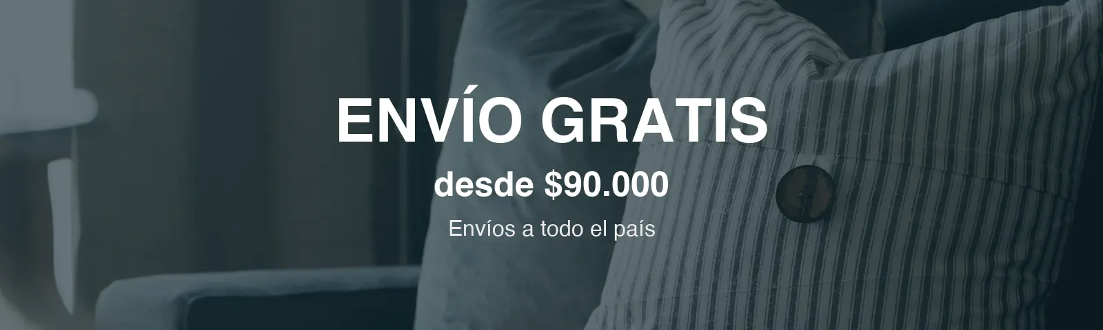Envío gratis desde $90.000